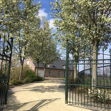 Vakantiewoning Pelterheggen Grote Heide Buitenkant foto