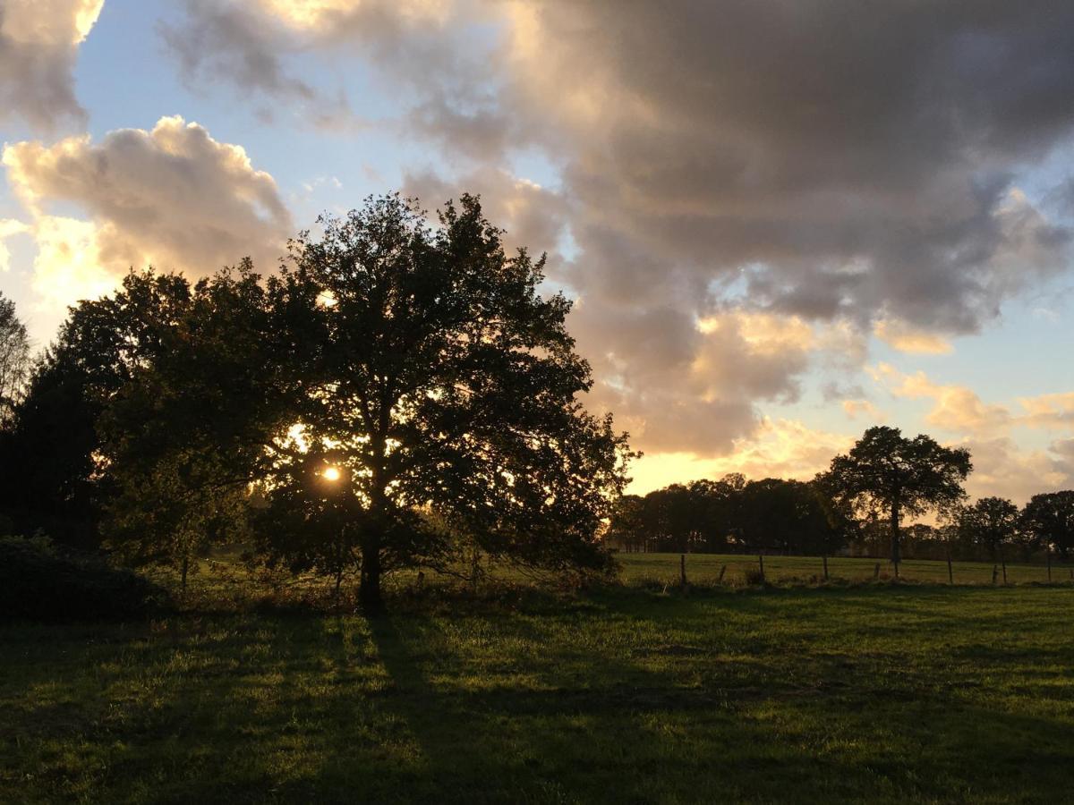 Vakantiewoning Pelterheggen Grote Heide Buitenkant foto
