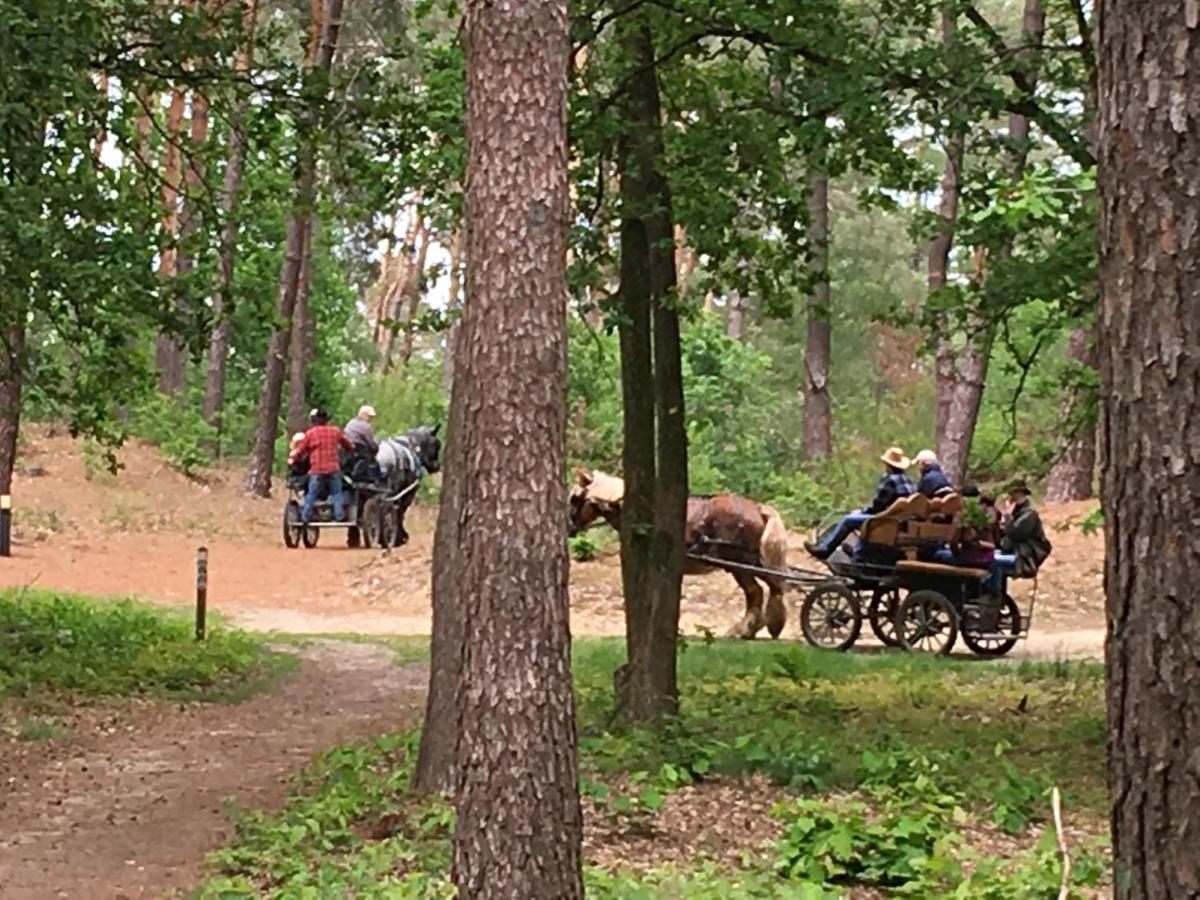 Vakantiewoning Pelterheggen Grote Heide Buitenkant foto