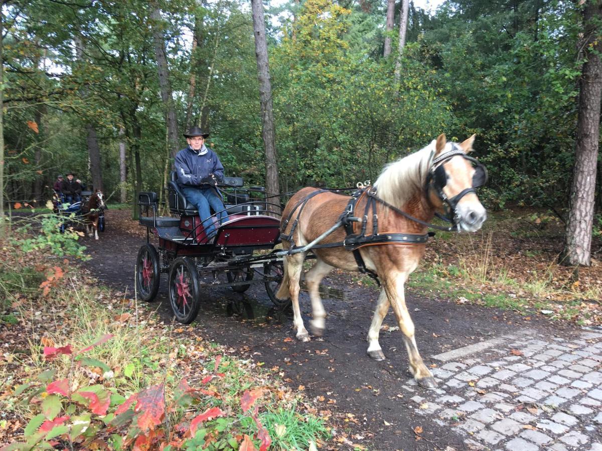 Vakantiewoning Pelterheggen Grote Heide Buitenkant foto