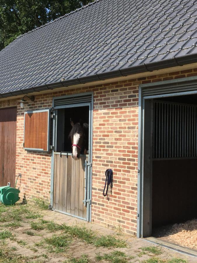 Vakantiewoning Pelterheggen Grote Heide Buitenkant foto