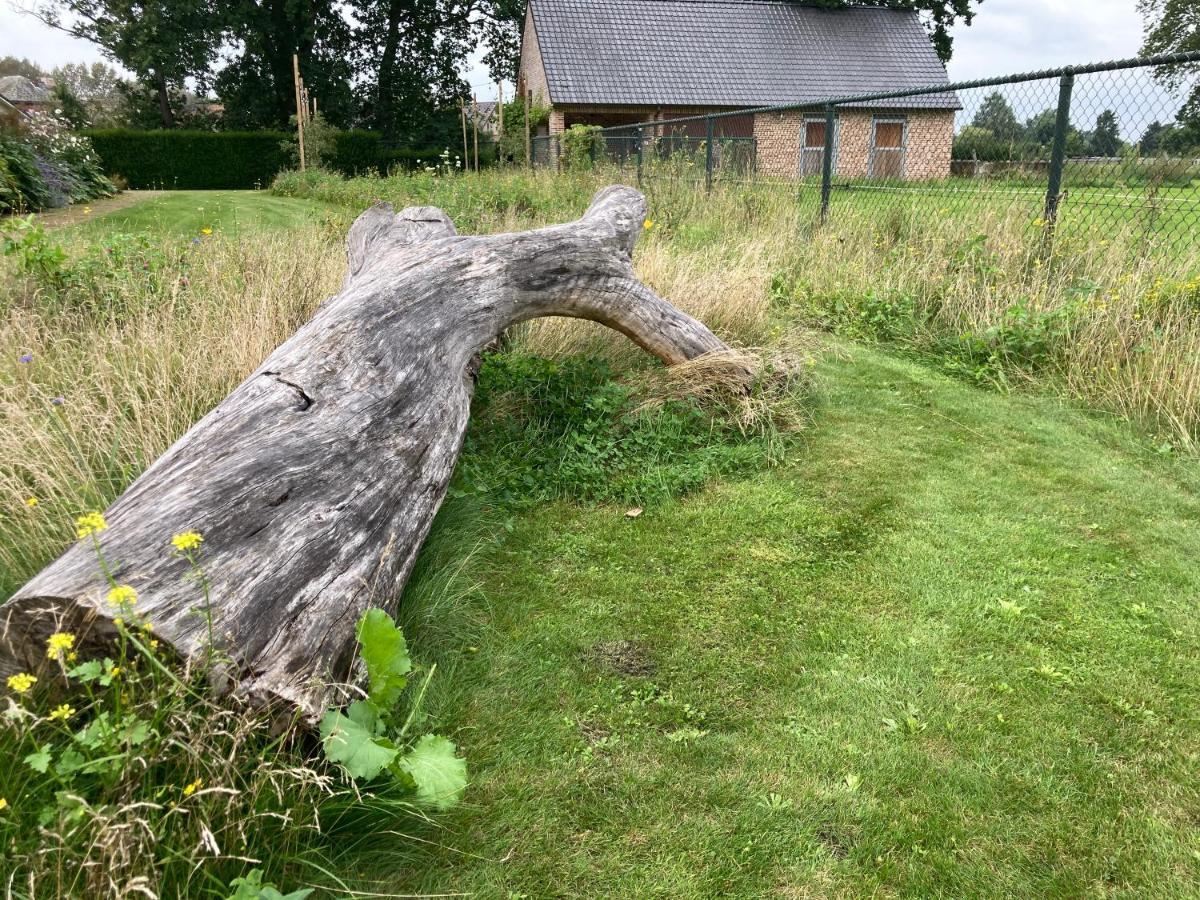 Vakantiewoning Pelterheggen Grote Heide Buitenkant foto