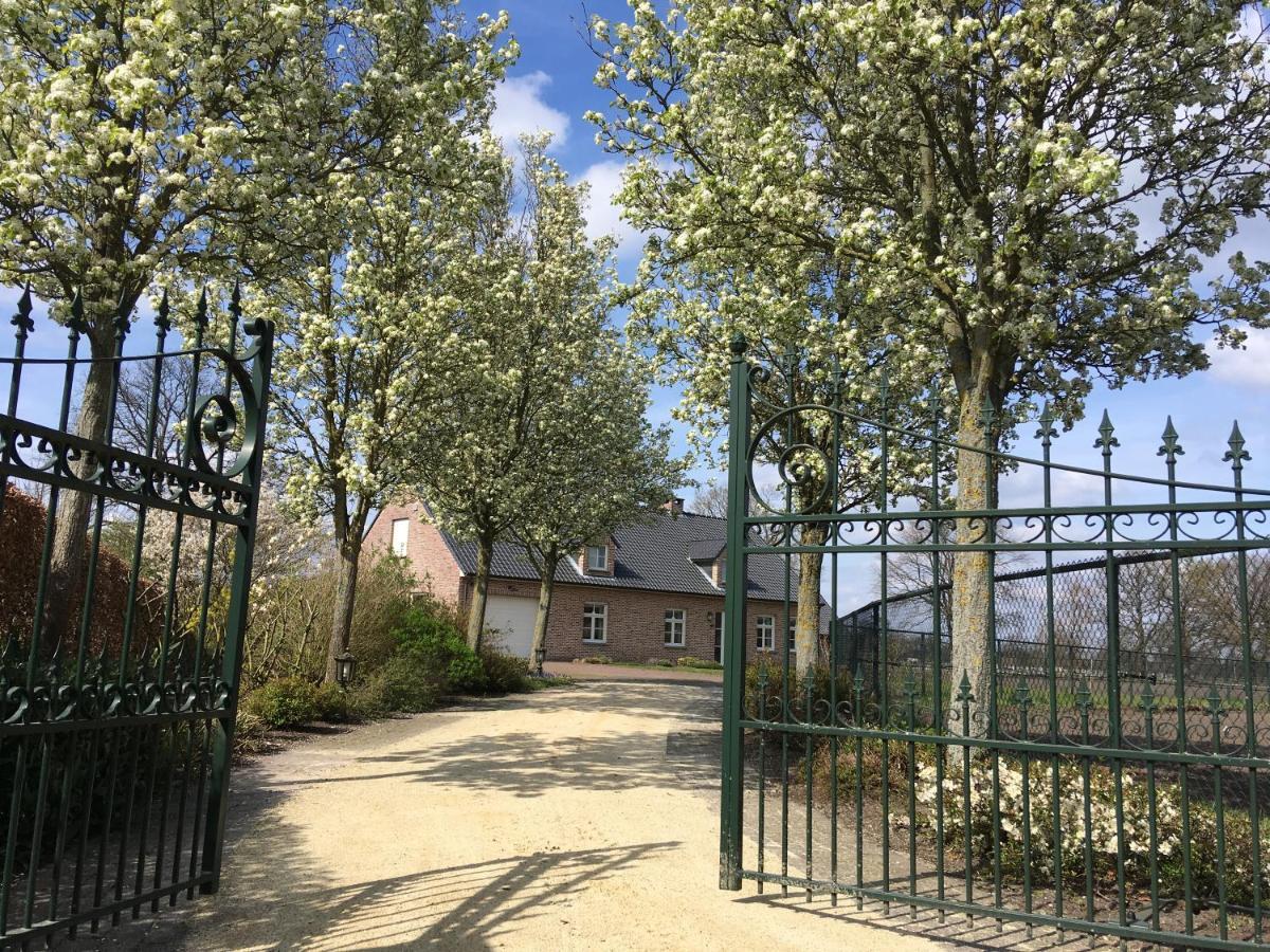 Vakantiewoning Pelterheggen Grote Heide Buitenkant foto