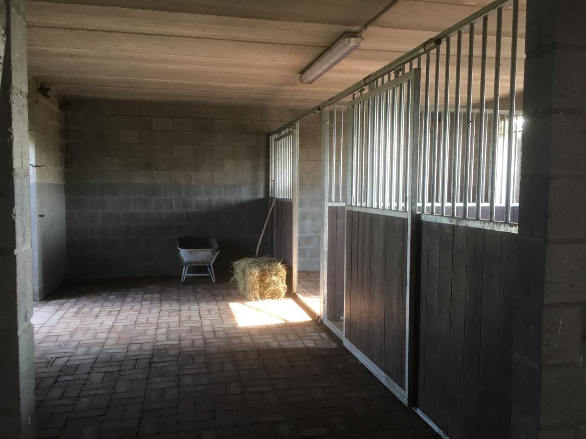 Vakantiewoning Pelterheggen Grote Heide Buitenkant foto